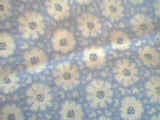 gcloseup.jpg