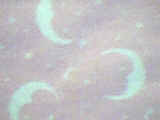 gcloseup.jpg